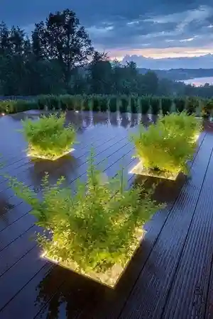 محوطه/سبک مدرنیسم