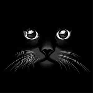 گریه تصویر سیاه Cat silhouettes