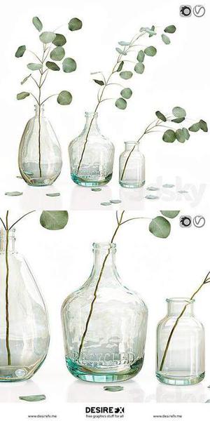 تنگ شیشه ای و شاخه درخت