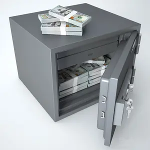 گاوصندق Paks Safe SD