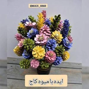 ایده با میوه درخت کاج