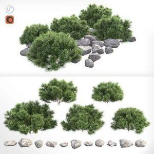 سنگ و بوته 3d ابجکت