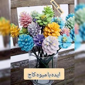 ایده با میوه درخت کاج