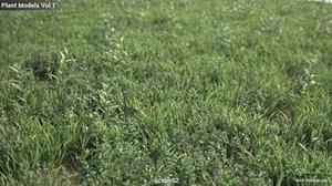 چمن های 3d  با کیفیت بالا برای 3d