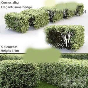 ابجکت بوته 3d