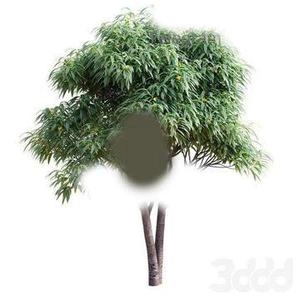 آبجکت درخت