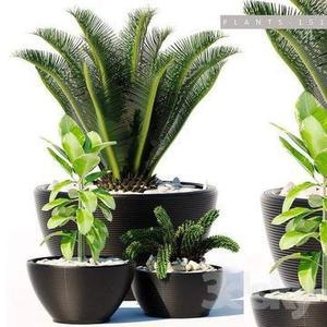 گلدون های دکوری بزرگ کوچک