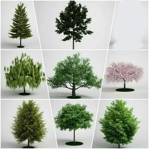 دختر های مختلف 3d برای مکس و وری