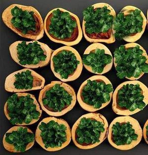 گلدان های چوبی مینمیال برای دکور