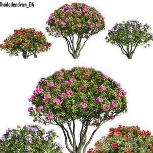 درخچه های با گل قرمز