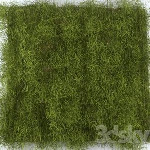 گرین وال green wall