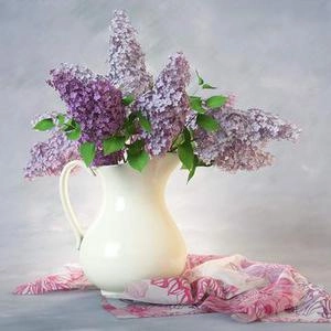 گلهای یاس داخل پارچ اب