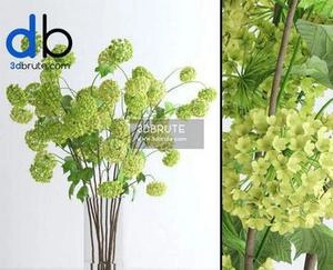 گلهای زرد لیموی