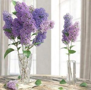 گلدون شیشه ای با گلهای یاس بنفش