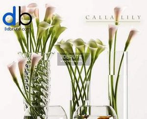 گل شیپوری گلدون شیشه ای دکوری