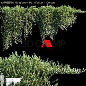 گیاه آبشاری  Max Vray