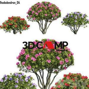 درخت  Max.Vray