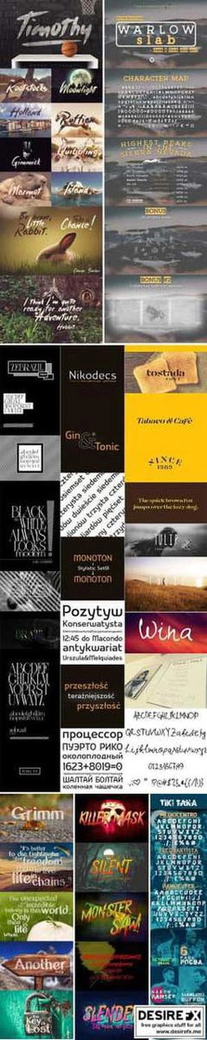 Fonts Bundle 15