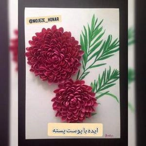 خلاقیت با پوست پسته