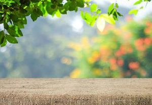 بکگراند میز و درخت