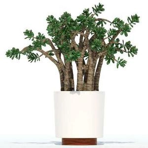 گلدون با پایه مدرن چوبی
