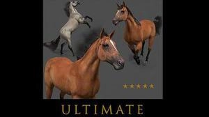 Ultimate Horse Collection مجموعه اسب های مختلف