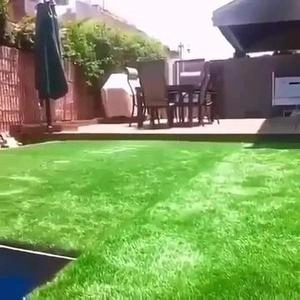 استخر داخل چمن