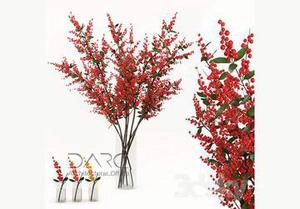 شاخه های زرشک
